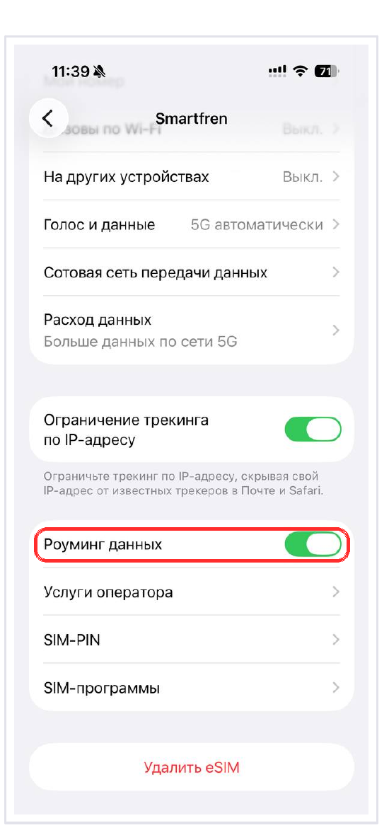 iPhone: включённый переключатель «Роуминг данных» в настройках туристической eSIM
