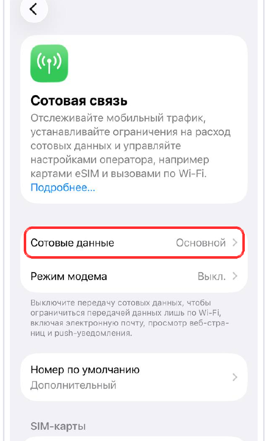 iPhone: пункт «Сотовые данные» для выбора туристической eSIM в Турции