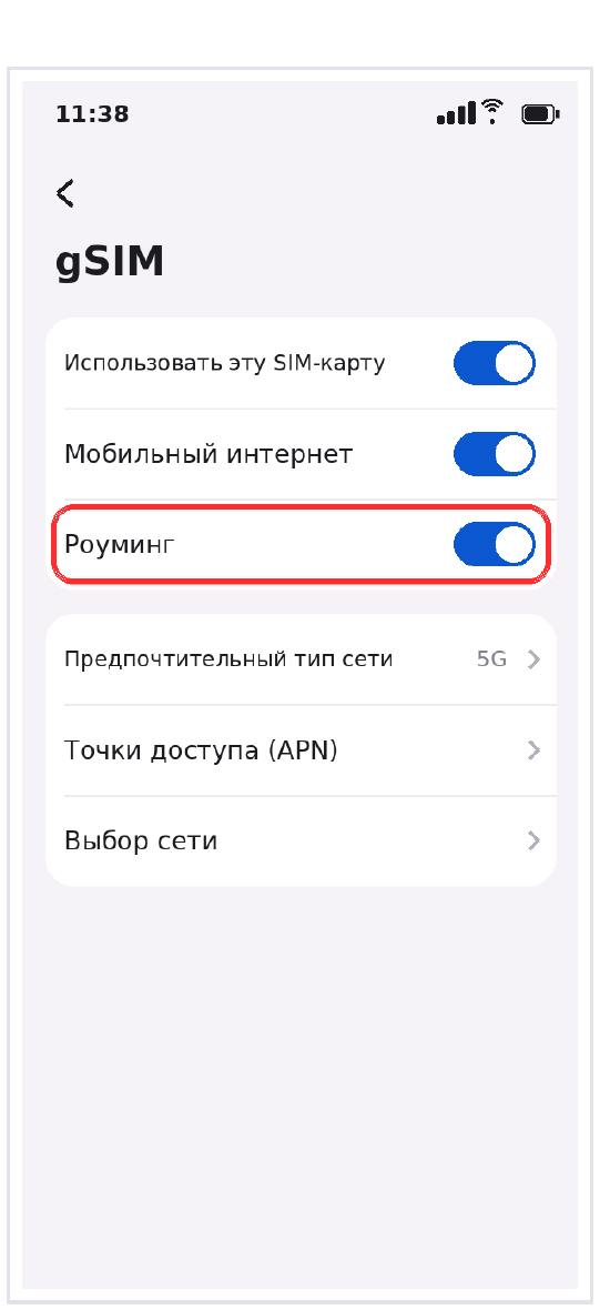 Google Pixel: включён мобильный интернет и роуминг данных для туристической eSIM
